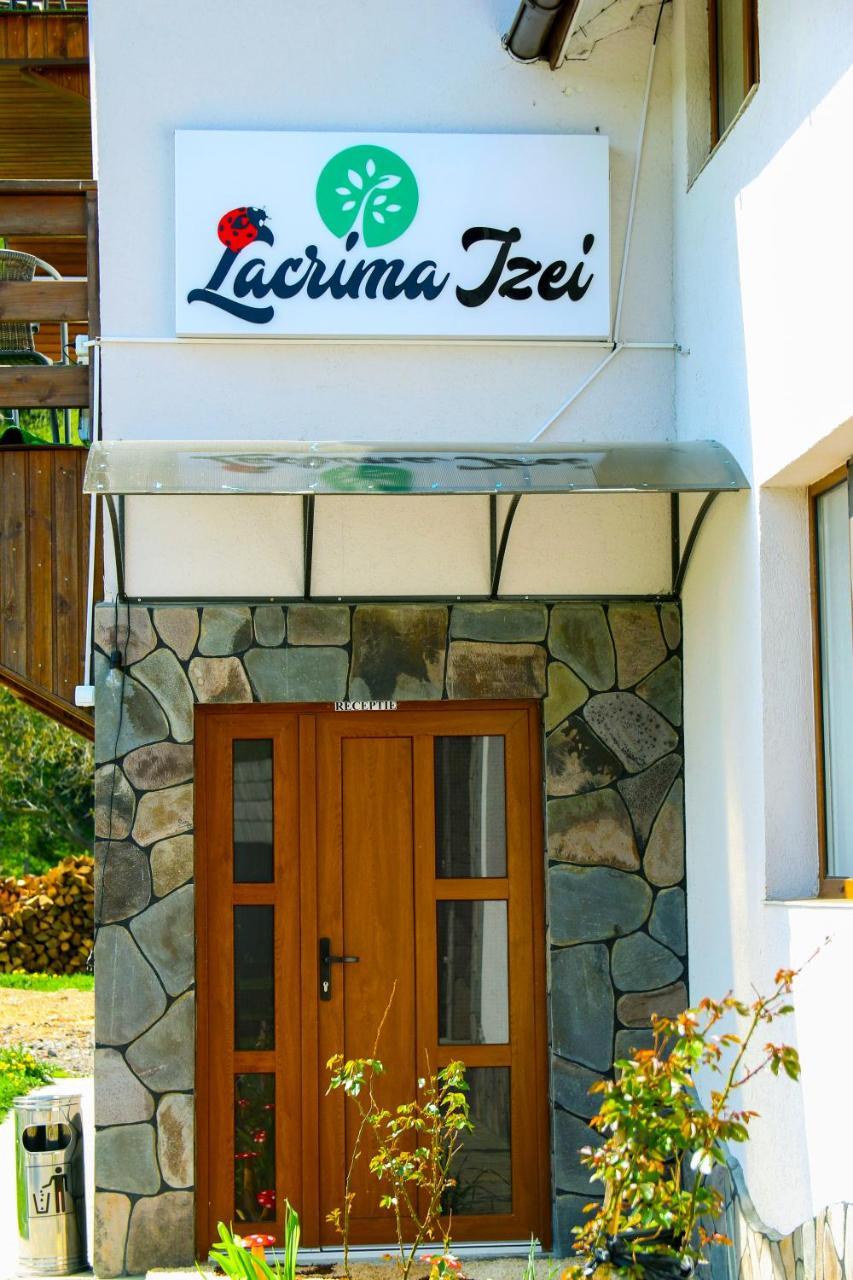 הוילה Săcel Lacrima Izei מראה חיצוני תמונה
